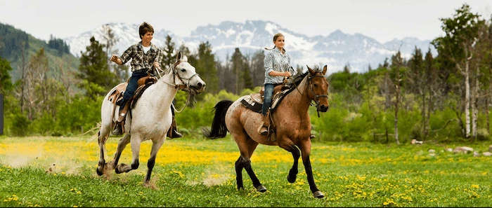 Confident plus-size woman riding Abbotsbury a horse through a field with a smile on her face.